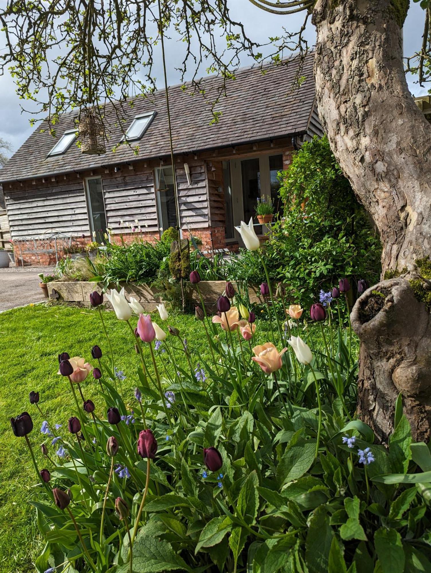 The Dorm Bed And Breakfast Eccleshall Exteriér fotografie