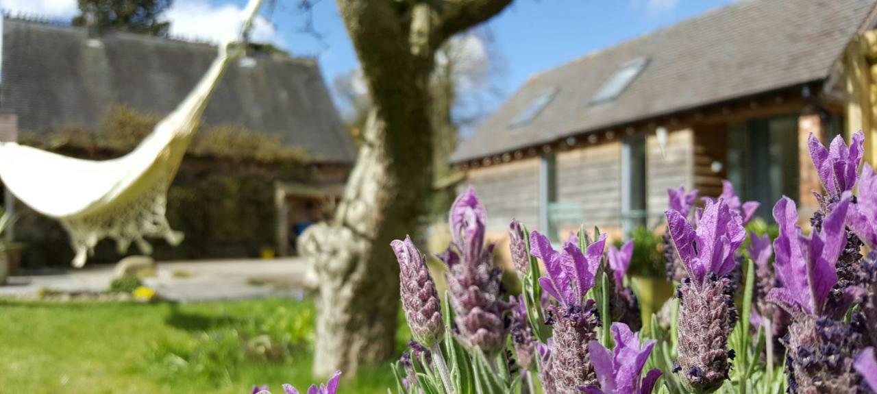 The Dorm Bed And Breakfast Eccleshall Exteriér fotografie