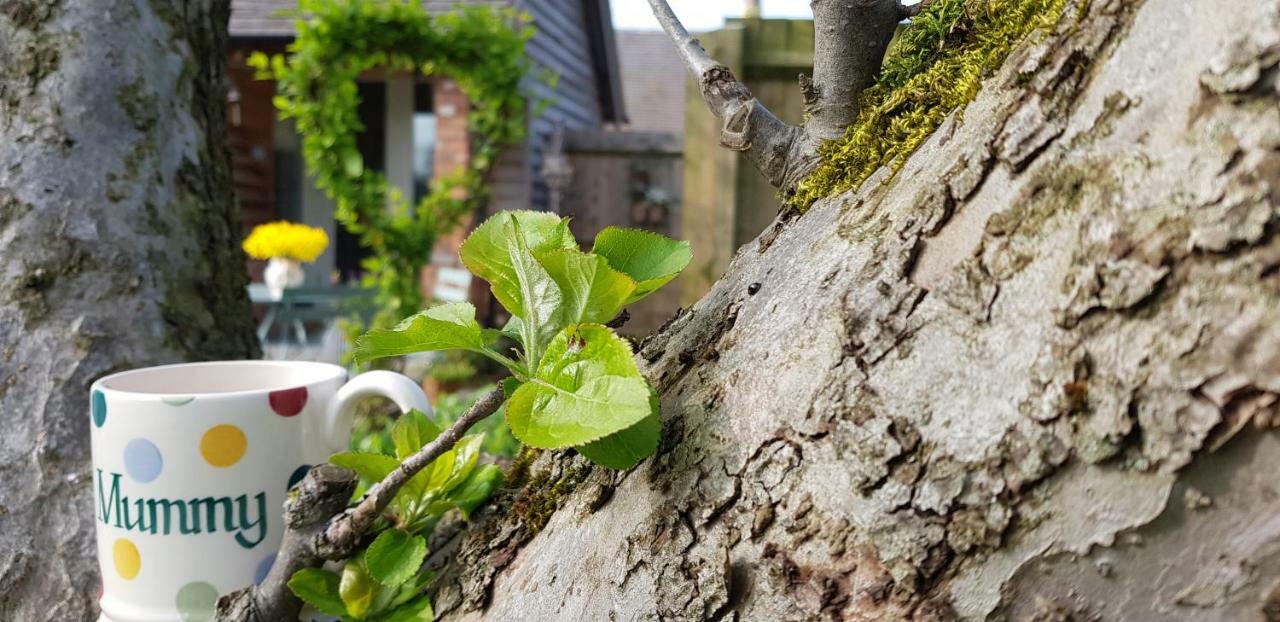 The Dorm Bed And Breakfast Eccleshall Exteriér fotografie